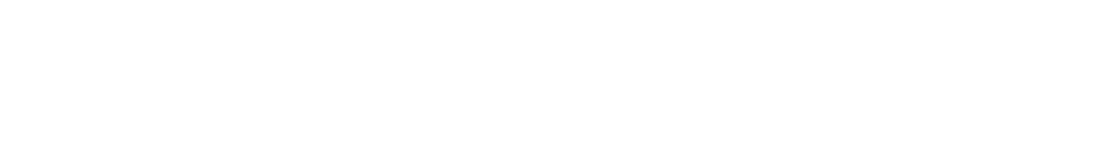 Virtual Mind Studio
